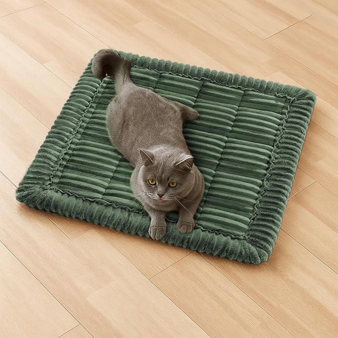 FUNNY FUZZY Pet Couch Covers for Sofa, Washable Dog Couch Cover Protector for Dogs, Flannel Couch Covers for Dogs Pet Friendly Pets Mat Bed (Dark Green, 19.7"x19.7")