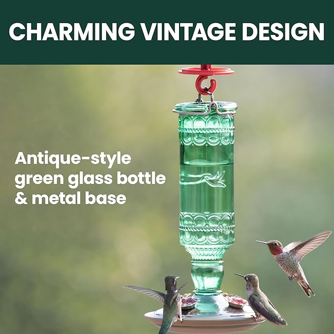 Perky-Pet Glass Bottle Hummingbird Feeder - Outdoor Garden Décor Humming bird Feeder, 8108-1SR - 10 Fl Oz Nectar Capacity - Durable Green Antique Design - Hang from Tree, Porch, Deck, Hook