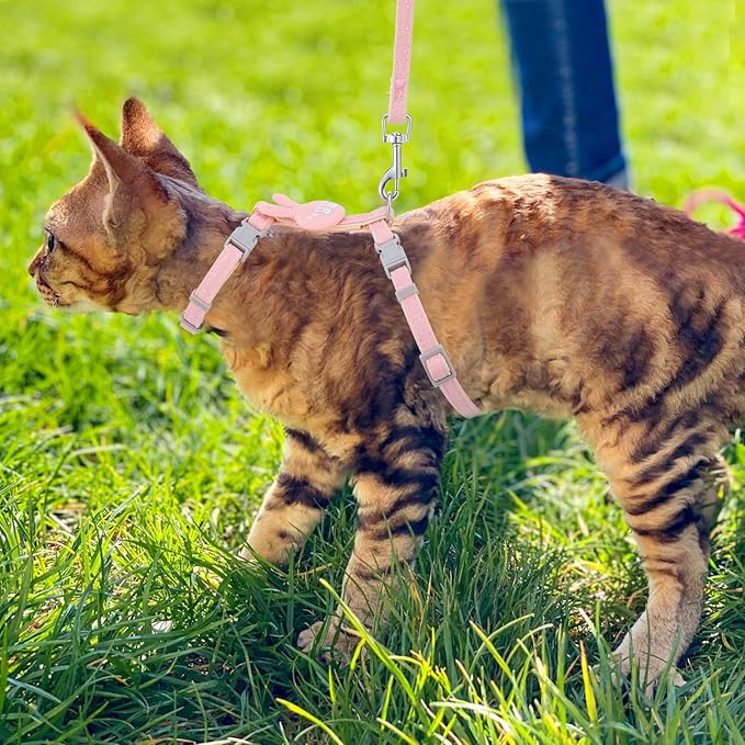 TIESOME Cat Harness and Leash Set, Adjustable Gradient Kitten Harness Escape Proof Harness with Leash for Kitty Outdoor Walking (Rabbit)