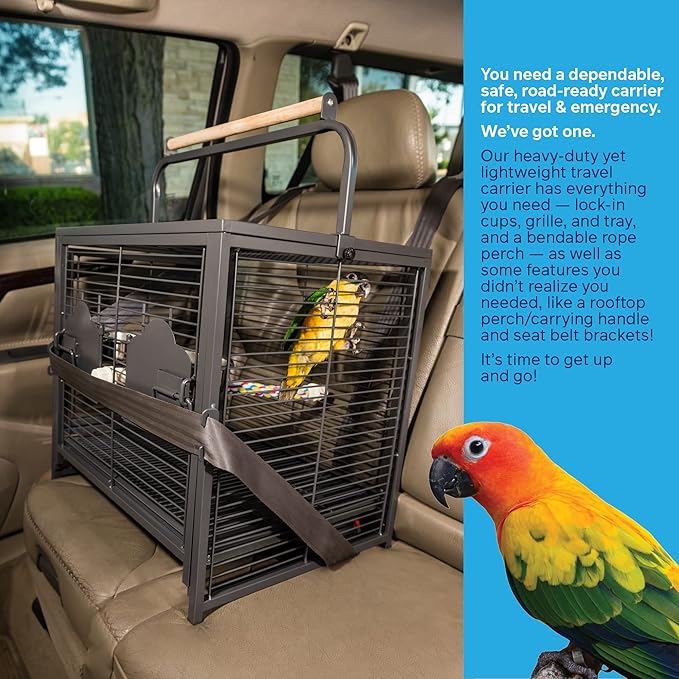 Prevue Pet Products Playtop Travel Carrier - Outdoor Travel Bird Cage for Small Parrots & Birds, Front Facing Door, Rope Perch, Lightweight & Portable, Easy Transport - Black