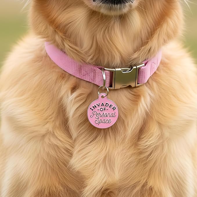 Bad Tags Personalized Dog and Cat ID Tags in 25+ Designs and 2 Sizes - 5 Lines of Custom Engraved Text - Funny Cute Personalized Pet Tags (Invader of Personal Space - Pink, Small (1 inch))