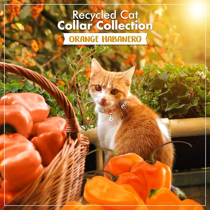 Pawtitas Recycled Orange Reflective Cat Collar – Eco-Friendly Breakaway Safety Buckle, Adjustable Kitten & Adult Collar with Removable Bell and High-Visibility Strap