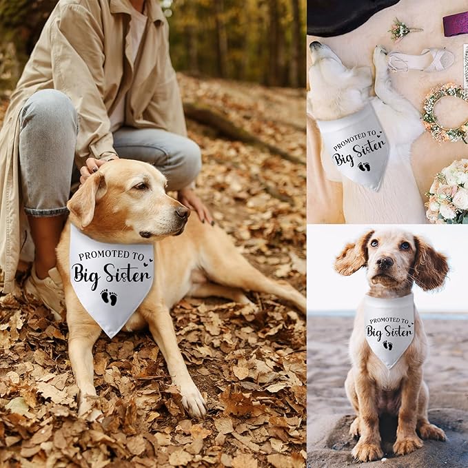 Promoted to Big Sister Pregnancy Announcement Dog Bandana Baby Gender Reveal Baby Announcement Photo Props Dog Scarf for Large Medium Small Dogs