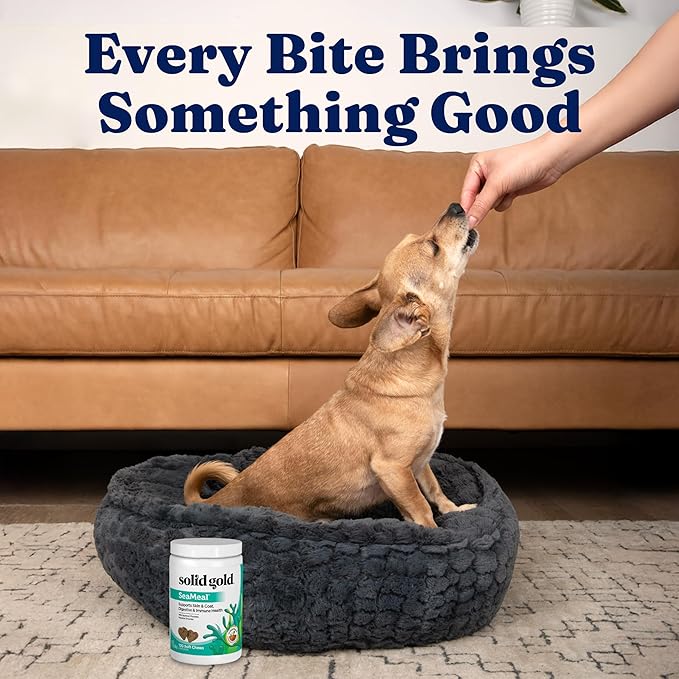 Solid Gold Cat & Dog Multivitamin Chews - Kelp, Omega 3 & Vitamins for Dental, Digestive, Immune, Skin & Coat Health - Multi Vitamin for Dogs & Cats - Sea Kelp Based Soft Chew for All Ages - 120ct