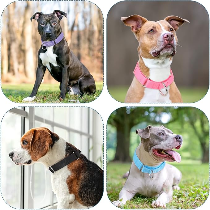 Cunno 12 Pcs Martingale Collar for Medium Dogs Reflective Dog Collar with Durable Metal Buckle Adjustable Nylon Pet Prevent Slipping Out for Pupplies, 12 Colors(Small)