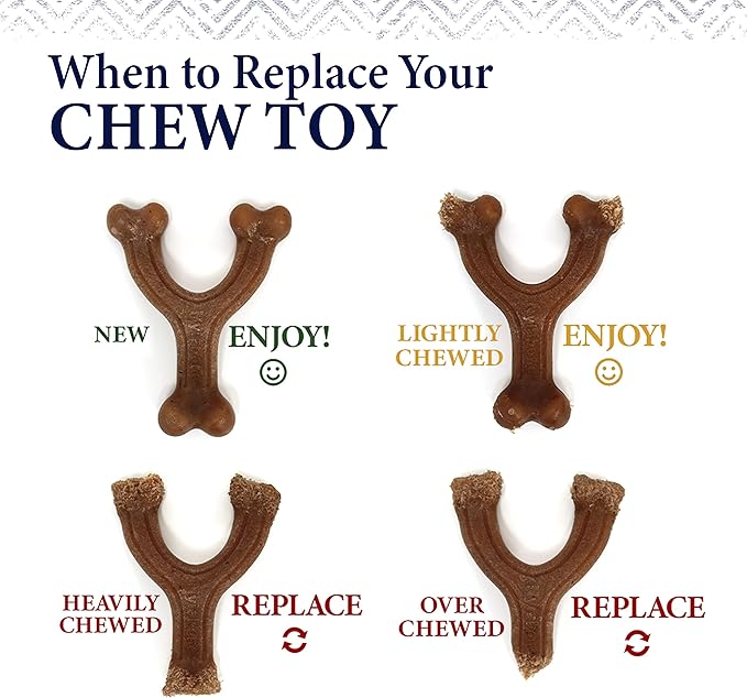 Nylabone Gourmet Style Strong Chew Toy Bundle, Toys for Dogs, Bacon & Peanut Butter Flavor, Small - Up to 25 lbs, 3 Pack