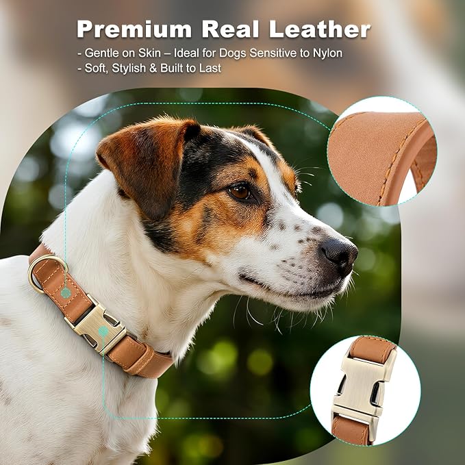 Plutus Pet Genuine Leather Dog Collar – Adjustable Pet Collar with Quick Release Metal Buckle, Soft Real Leather for Small Medium Large Dogs, Heavy Duty & Skin-Friendly (Light Brown, S)
