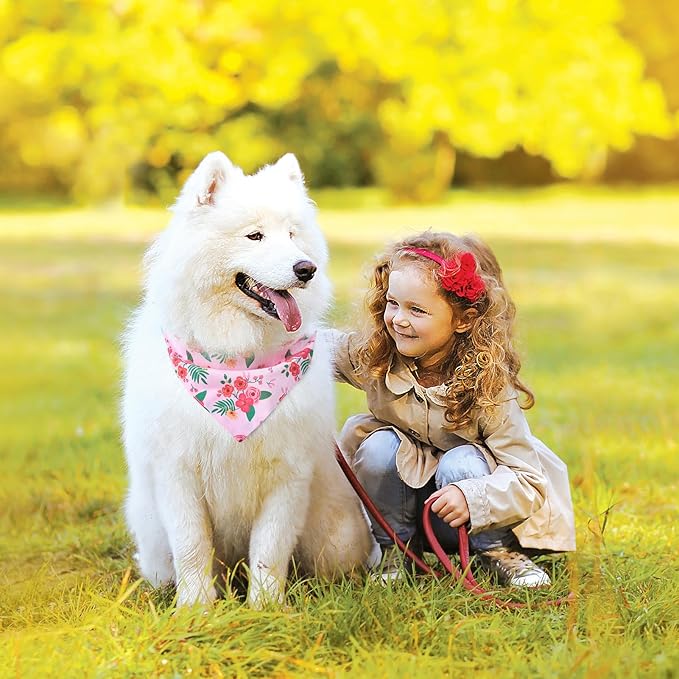 PAWCHIE Spring Dog Bandanas Small Reversible Styles Pet Triangle Scarf Bibs - Adjustable with Two Snaps - Kerchief Set Accessories for Dogs, Puppy, Cats