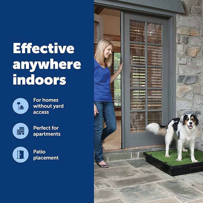 PetSafe Pet Loo Indoor Pet Toilet, Portable Dog Potty Station, Grass Pad Tray of Synthetic Grass Mat, Easy to Clean, Large