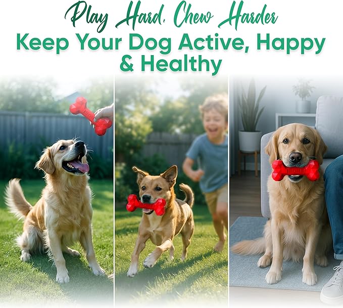 Natural Rubber Dog Chew Bone – Treat-Dispensing, Tough & Indestructible Chew Toy – Safe for Aggressive Chewers – Dental Health & Boredom Relief – (Red)