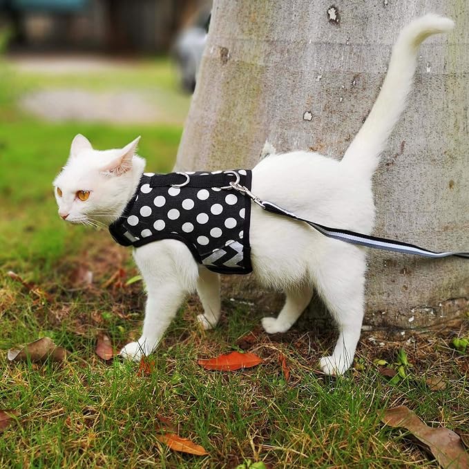 Cat Harness and Leash for Walking Escape Proof, Adjustable Cat Vest Harness, Padded Stylish Cat Walking Jackets, Polka Dot Black, XX-Large