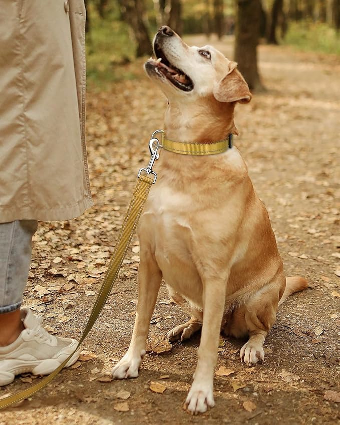 TagME Reflective Nylon Dog Collars, Adjustable Classic Collar with Quick Release Buckle for Puppy, Khaki, 3/8" Width