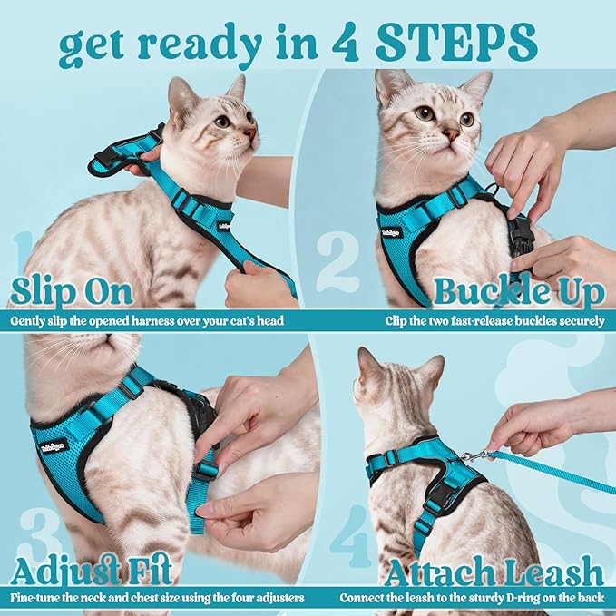 rabbitgoo Cat Harness and Leash for Walking, Escape Proof Soft Adjustable Vest Harnesses for Cats, Easy Control Breathable Reflective Strips Jacket, Teal, XXS