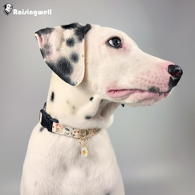 Cute Dog Collar Beige Flower Pattern for Boys and Girls Holiday Dog Collars Summer Fall Gift Adjustable for Medium to X-Large Breed Dogs (L)