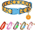 Cute Dog Collar Fruit Orange Pattern for Boys and Girls Holiday Dog Collars Summer Fall Gift Adjustable for Small to Medium Breed Dogs (Fruit Orange, XS)