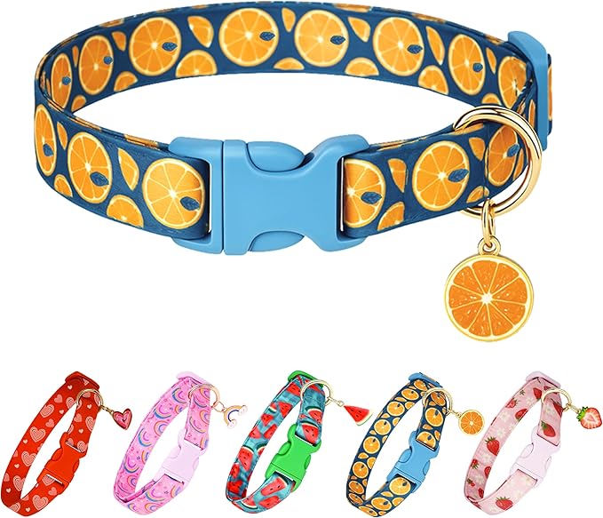 Cute Dog Collar Fruit Orange Pattern for Boys and Girls Holiday Dog Collars Summer Fall Gift Adjustable for Small to Medium Breed Dogs (Fruit Orange, XS)