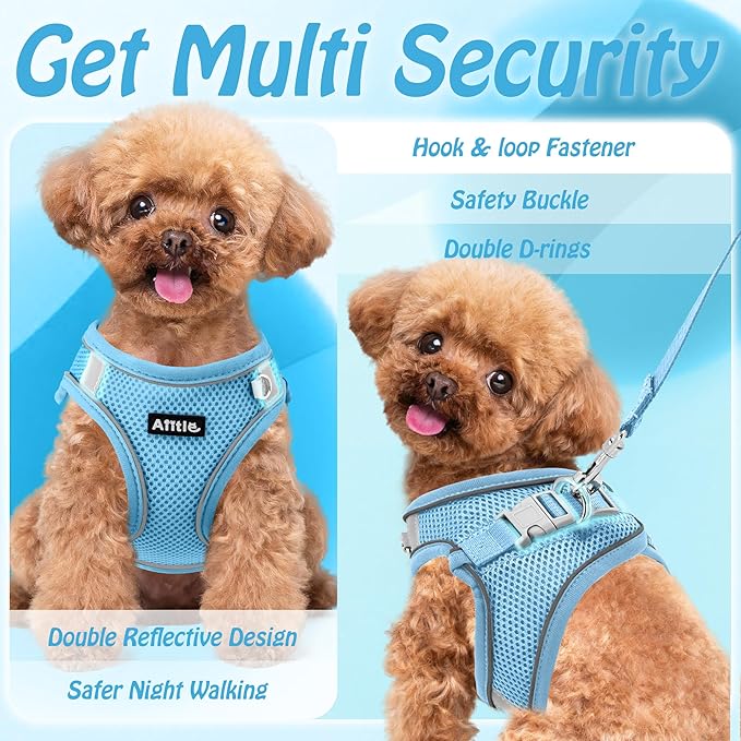 AIITLE Small Harness for Puppy with A Leash - Dog Vest Harness with Super Breathable Mesh, Reflective No-Pull Pet Harness for Outdoor Walking, Running for Small Dogs, Cats Pure Blue XXS