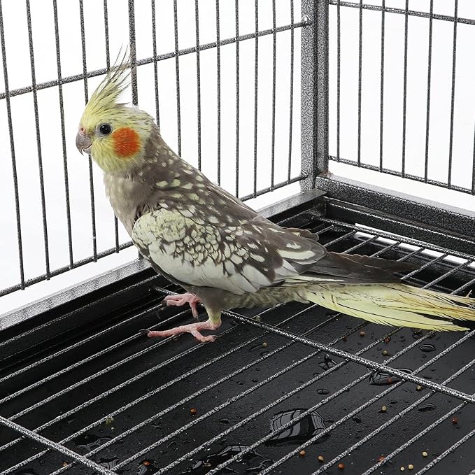 Topeakmart Wrought Iron Large Flight Parrot Bird Cage with Rolling Stand for Multiple Parakeets Conure Cockatiel Cage