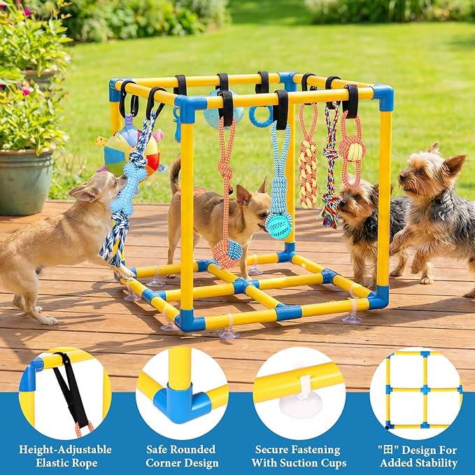 Puppy Play Gym for Small Dogs with 10 Hanging Toys, Removable Indoor Jungle Gym, PVC Frame with Adjustable Bungee Straps, Interactive Dog Toys Tug Toys for Dogs Rope Toy to Keep Them Busy