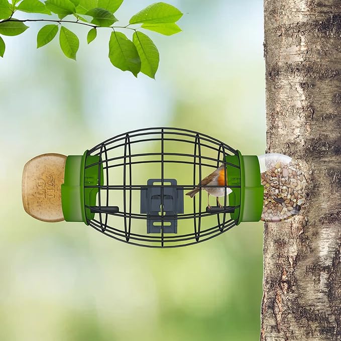 LONA Squirrel Proof Bird Feeding Cage for Outdoors - All-Weather Metal Caged Bird Feeders with Peanut Butter Jar Holder, Chew-Proof Feeding Cage for Small Birds (Oval Cage, 2 Feeding Units)