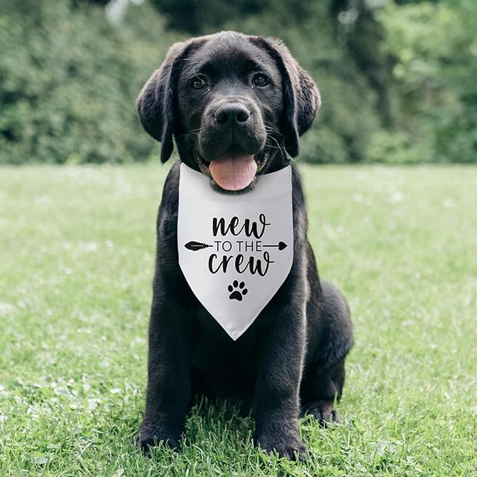 New to The Crew Dog Bandana New Puppy Announcement Gift for New Owners Puppy Bandana Dog Owner Gifts Triangle Bibs Scarf Accessories for Small Medium Dogs Pets