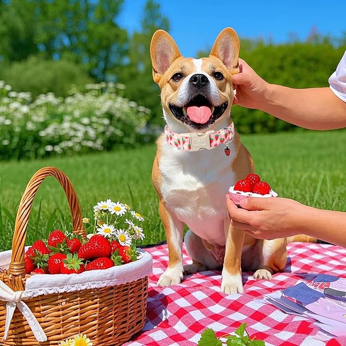 Cute Spring/Summer Dog Collar, Adjustable Pink Strawberry Dog Collars for Small Dogs, Lightweight Quick-Release Buckle Collar for Boy&Girl Dogs S