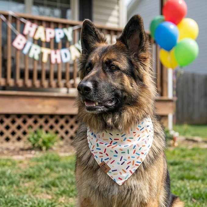 Birthday Dog Bandanas Extra Large, Reversible Colorful Confetti Sprinkles Stripes, Soft Breathable Adjustable Scarf for Large Extra Large Dogs, Boy Girl Party Outfit Accessory Gift