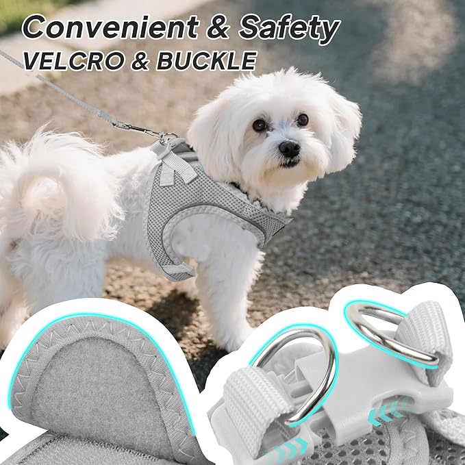 PetiFine Step in Small Dog Harness and Leash Set, Breathable All Weather Air Mesh Reflective Escape Proof, Step-in Velcro Vest Harnesses for Puppy(S, Grey)