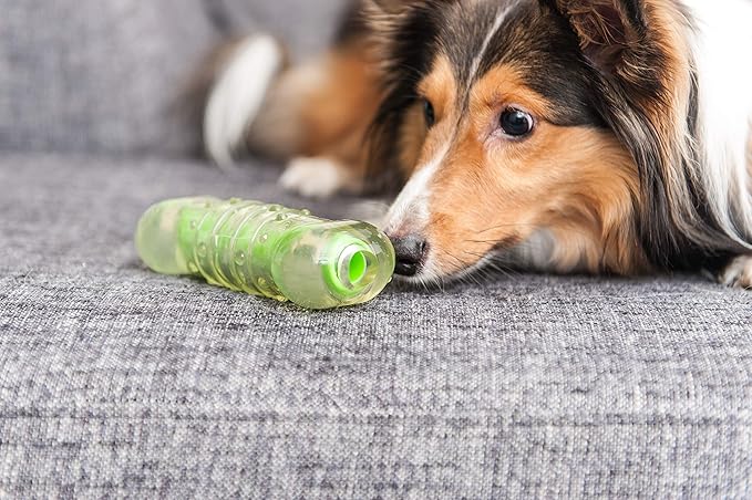 Petstages Crunchcore Bone Water Bottle Alternative Dog Chew Toy, Medium (Pack of 2)