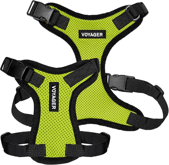 Voyager Step-in Pet Harness - All Weather Mesh, Adjustable Step in Harness for Cats and Dogs by Best Pet Supplies - Lime Green/Black Trim, S