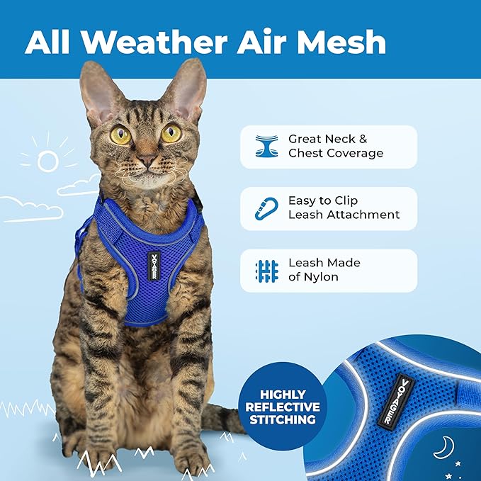 Voyager Escape-Proof Step-in Lock Cat Harness & 5ft Neoprene-Handle Leash Set All-Weather Mesh with Reflective Stitching for Small to Large Cats by Best Pet Supplies, Royal Blue (327), S