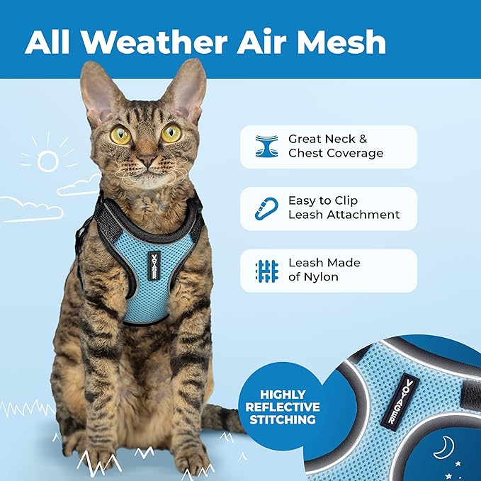 Voyager Escape-Proof Step-in Lock Cat Harness & 5ft Neoprene-Handle Leash Set All-Weather Mesh with Reflective Stitching for Small to Large Cats by Best Pet Supplies, Black Trim-Baby Blue (327), XS