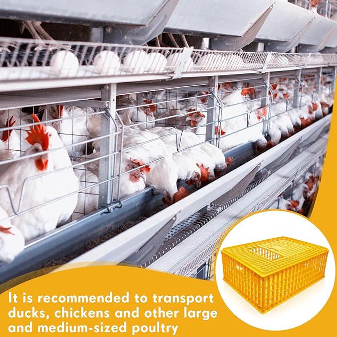 Sintuff Poultry Carrier Crate Plastic Chicken Transport Cage Bird Carriers Chickens Carrier Travel Crate Basket Box for Poultry Chicken Bird Duck Goose, 29.5 x 21.7 x 11.6 Inch(4 Pcs)