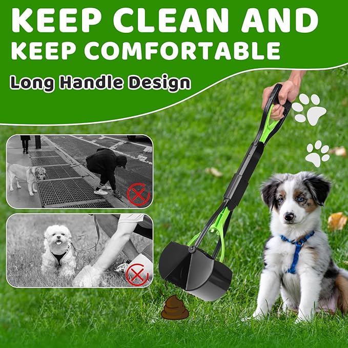 Dog Poop Trash Can Outside with Pooper Scooper and Metal Rake & Tray, 20L/5Gal Dog Waste Trash Can with Lid, Pedal and Removable Inner Waste Bin, Pet Poop Bin with 100 Bags, Green
