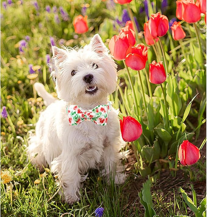Lionheart glory Dog Collar Bow Collar Floral Dog Collar with Bow Tie Spring Summer Cute Collar Dog Boy or Girl Dog Collars Soft Durable Adjustable Dog Collars for Large Dogs
