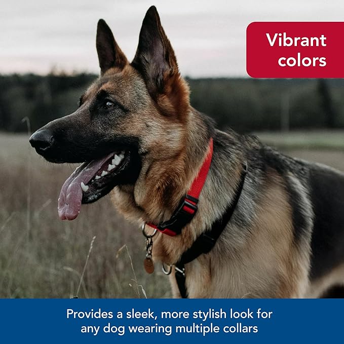 Coastal Pet SecureAway Collar Protector for Flea Collars - Adjustable pet Accessory - Protective Flea Collar for Dogs & Puppy - Multi Bones, 1" x 14-20"