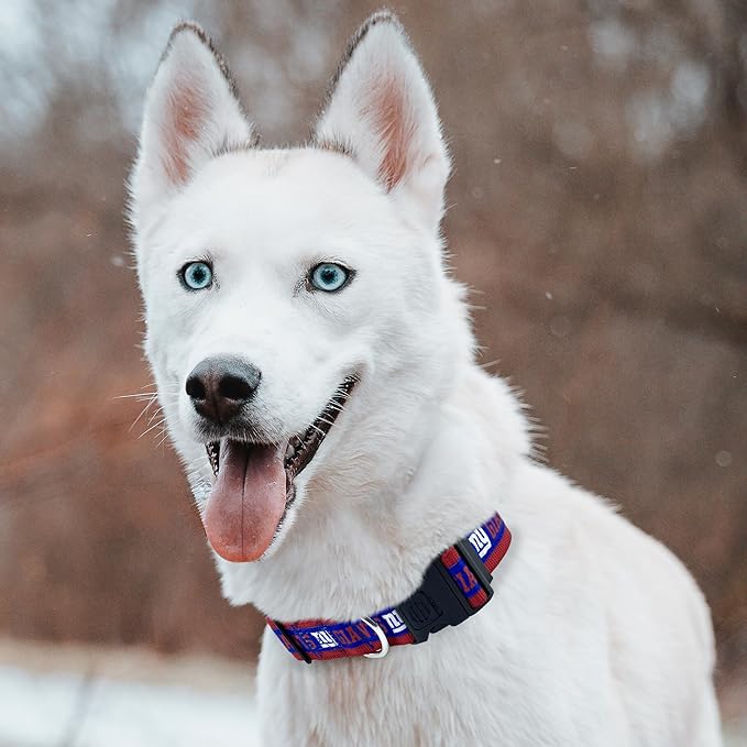Pets First NFL New York Giants Licensed PET COLLAR, Extra Large - Heavy-Duty, Strong, and Durable Dog Collar. Available in 31 Football Teams and 4 Sizes