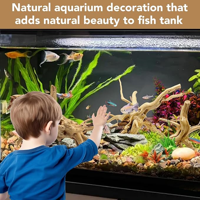 Jorewood Natural Small Spiderwood Driftwood for Aquarium Decor Rptile Fish Tank Decoration Assort Branch 4-7'' 8 Pcs