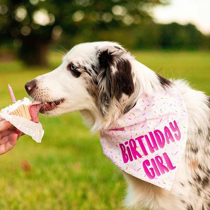 Birthday Girl Dog Bandanas 1 Pack, Pink Donut Theme Dog Scarfs Bibs, Triangle Reversible Pet Scarves for Birthday Girl Handkerchief for Small Medium Large Dogs (Pink, Large)