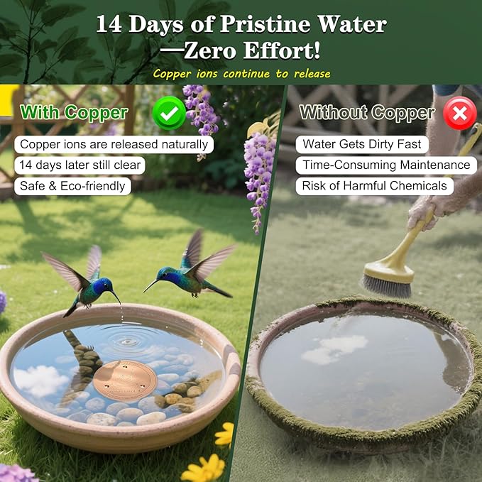 TIANCENTRAL H Bird Bath Copper Disk 2PCS-99.99% Pure Copper Cleaning Disk with Triple-Point Support 1mm Reinforced Water Purification Disk for Bird Baths,4 Inch