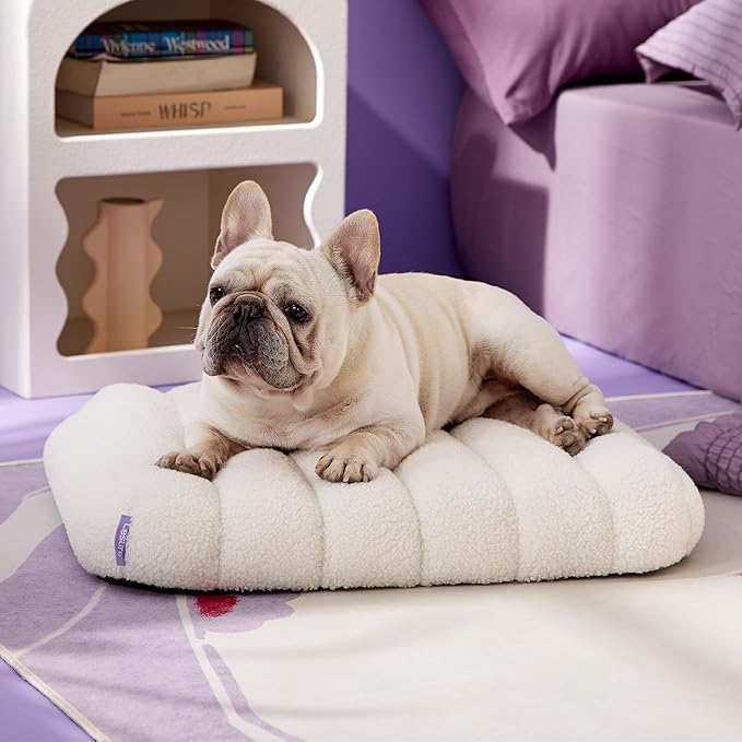 LE SURE Cute Orthopedic Dog Bed for Small Dogs, Waterproof Chic Flat Pet Beds with Removable Washable Cover, Fuzzy Thick Egg Crate Foam Pet Mat for Indoor Use (24" x 18", Cream)