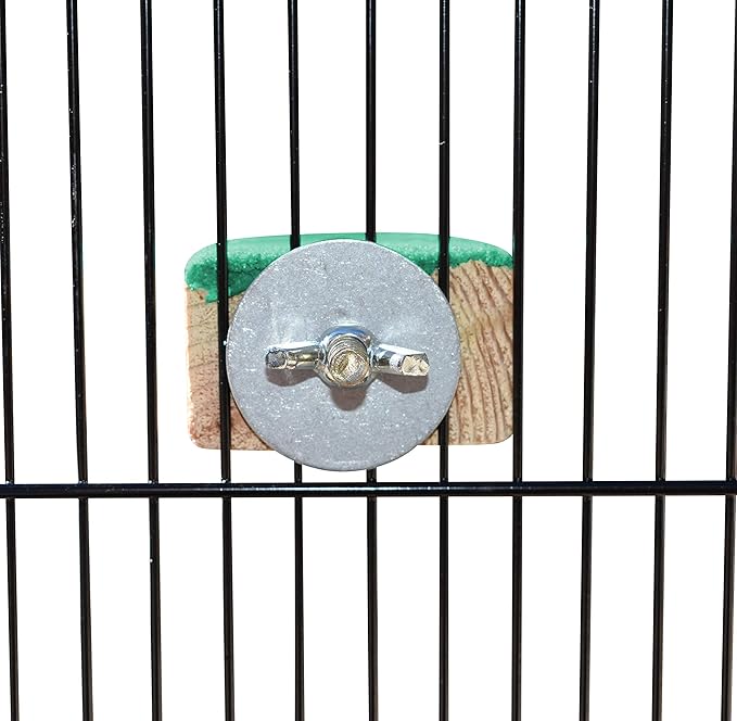 Spoiled Pet® Bird Cage Perch Stand 2-Pack - Beak and Foot Grinding Platform - Parakeets, Cockatiels, Canaries, Finches, Conures, Lories, and Budgies - Hamsters and Gerbils (Wood Perch)