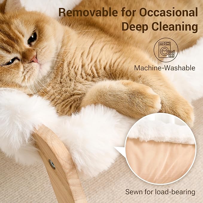 Solid Wood Cat Couch Bed for Indoor Cats, Modern Cat Sofa with Ultra-Soft Plush Surface Washable, Reclined Backrest, Elevated Elevated Cat Lounge Furniture for Small to Adult Pets, Ivory White