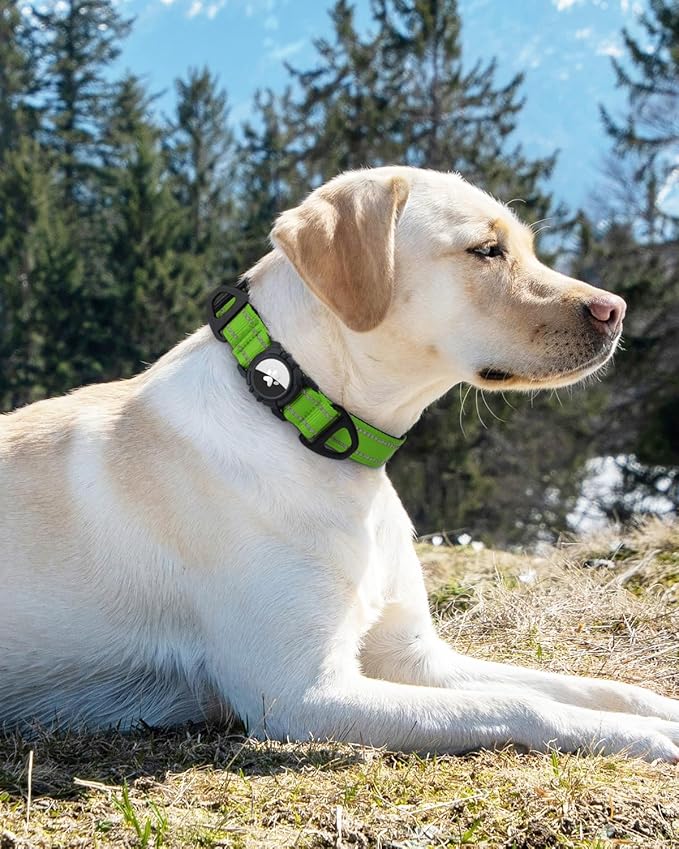 Joytale Airtag Dog Collar, Reflective Pet Collar with Waterproof AirTag Holder, Dual D-Rings, Soft Padded Adjustable for Medium Dogs, Green, M