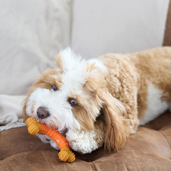 SPOT Bam-Bones Dental X-Bone - Made with Bamboo Fiber and a Massaging Rubber Center, Durable Oral Care Dog Chew for Light Chewers & Teething Puppies under 25lbs, 6in Allergen Free Peanut Butter Flavor