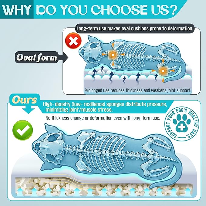 Waterproof Memory Foam Dog Beds for Small Dogs Non-Slip Orthopedic Dog Beds Washable Couch Pet Bed with Removable Cover (Black, Small)