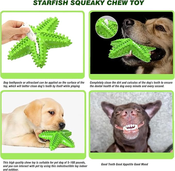 Chew Toy for Dog Toothbrush Stick Dog Toys for Aggressive Chewers Interactive Toys Treats Tough Toy to Keep Them Busy Chew Toys for Small Dogs (Star Toy - Green)