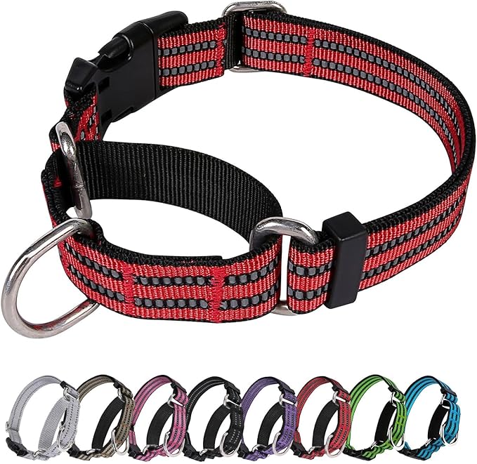 Martingale Dog Collar, Adjustable Nylon Reflective Collar with Buckle No Pull Dog Collar for Small Medium Large Dogs (Red L)
