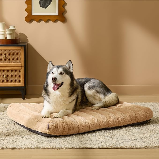 LE SURE Cute Orthopedic Dog Bed for Extra Large Dogs, XL Waterproof Chic Flat Pet Beds with Removable Washable Cover, Fuzzy Thick Egg Crate Foam Pet Mat for Indoor Use (44" x 32", Beige)