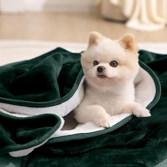 gogobunny Waterproof Bed Blanket, Reversible Sherpa Fleece Throw Blanket for Dog Puppy Cat, Furniture Cover Protects Bed Couch Sofa from Liquid Pee and Pet Fur (Forest Green, 30x40 inches)